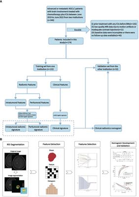 Development and validation of an MRI-Based nomogram to predict the effectiveness of immunotherapy for brain metastasis in patients with non-small cell lung cancer